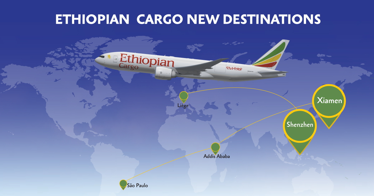 埃塞俄比亚航空将厦门和深圳作为其在中国的货运目的地